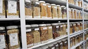 All seeds banks are shipping on time and there are no delays. Seeds Of World S Rarest Trees And Crops Can T Be Banked Howstuffworks
