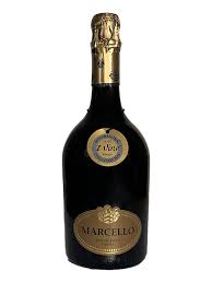 His work is all about real, abstract, and dynamic. Ariola Marcello Lambrusco Oro Igp Castello Del Gusto