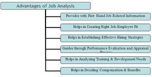Advantages And Disadvantages Of Job Analysis