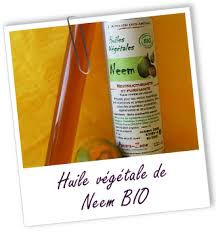 Epingle Sur Anti Nuisibles Ecologique