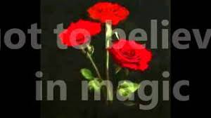 #personal #g2b #got to believe in magic. Got To Believe In Magic Lyrics David Pomeranz Youtube