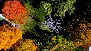 5,100-plus named to Deans' List/honor roll for fall 2017