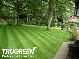 Trugreen provides care for lawns, trees, and shrubs, and defends against mosquitoes and outdoor pests. Trugreen Franchise Information 2020 Cost Fees And Facts Opportunity For Sale