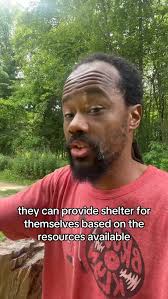 What does human domestication mean to you ., ., ., #ecology #sociology  #learning #food #clothing #shelter #blo