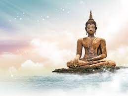 Check spelling or type a new query. 48 Buddha Wallpapers Downloads On Wallpapersafari