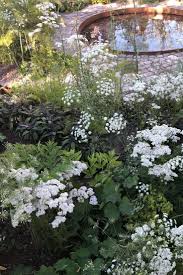 Health And Wellbeing Garden Alexandra Noble Design Alexandra Design Garden Health Noble Pavilion Wellbeing Garten Pflanzen Mond Garten Weissen Garten