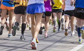 See 207 unbiased reviews of optimist cafe, rated 4 of 5 on tripadvisor and ranked #7 of 15 restaurants in yarmouth port. The 10 Best Road Races In Massachusetts