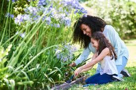 Mother's friendship day started in america in 1868 in america, peacekeeper ana jarvis made great efforts to increase solidarity between mothers during the civil war, and in 1868 she began mother's friendship day. Cw5gxaz Vz Pkm