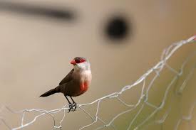 El año 2023, visto por los fotógrafos de EL PERIÓDICO