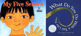 Activities For What Do You Do With A Tail Like This Pre K Lesson Plans Prek Literacy My Five Senses