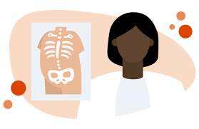 The Complete Guide To Becoming An Anatomy Doctor | Bmj Careers