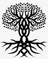 Druidic yggdrasil tree at night, round silhouette, celtic style logo. Celtic Tree Of Life Drawing At Getdrawings Celtic Tree Of Life Transparent Free Transparent Png Download Pngkey
