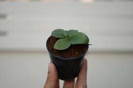 Maybe you would like to learn more about one of these? à¸§ à¸²à¸™à¸£à¸§à¸¢à¹„à¸¡ à¹€à¸¥ à¸ à¸à¸£à¸°à¸–à¸²à¸‡ 2 à¸™ à¸§ Pantip