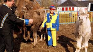 Zeitz: Zeitz: Munteres Zwillingspaar wird im Circus Rolina getauft