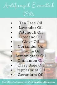 Antifungal Essential Oils That Will Help You Beat Candida Get Rid Of Yeast Infec Essential Oils For Candida Antifungal Essential Oil Yeast Infection Treatment