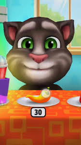 Cat Tries Super Spicy Chili: Hilarious Reactions