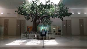 This weston langford photo from 1963 shows a footscray bound tram headed west along maribyrnong road in ascot vale. Giving An Old Mall A New Purpose Former Westchester Mall High Point Nc Deadmalls