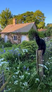 Laia Reed (laiareed)