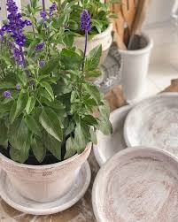 Italian terracotta pots help save space and substantially beautify any balcony, home, or public area in which they are placed. Beautiful Aged Terracotta Pot Paint Makeover Fox Hollow Cottage