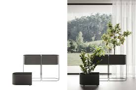 Le piante autunnali da interno includono sia sempreverdi che fiori tipici di questa stagione come i crisantemi. Piante Da Appartamento Blog Arredamento