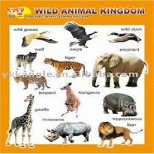 3d Wall Chart Wild Animal Kingdom Global Sources