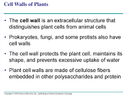 We did not find results for: A Tour Of The Cell Online Presentation