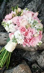 Different kinds south africa wedding flowers plants plant planets bridal flowers. Your Guide To Wedding Flowers Comfort Inn