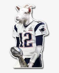 tom brady goat wut in tarnation meme free transparent png download pngkey tom brady goat wut in tarnation meme