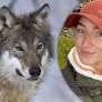Swedish Hunting Groups Push for Revised Wolf Management and Legal Reforms Ahead of Election