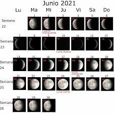 We did not find results for: Calendario Lunar Junio 2021 Para Cortarse El Cabello Y La Jardineria