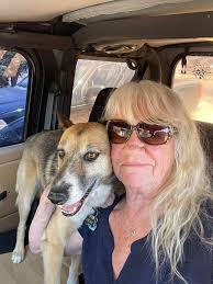 Introduction of Jeep Dogs and Owners in Utah