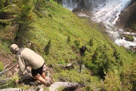 Hiking from grassy lake to union falls: Union Falls Unique Waterfall In Yellowstone S Bechler Area
