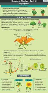 Check spelling or type a new query. Angiosperms Features Classification Reproduction Videos Examples
