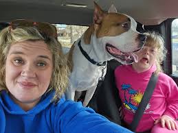 Reddish brown 3-legged dog in cornfield