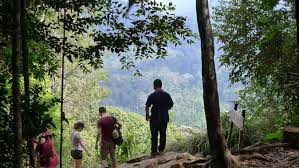 Highlights consists of jungle hikes, a canopy walk, night safari's and river cruises. 3 Days Team Building Fun Adventure Taman Negara Travel