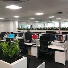 Professional Painters In Melbourne Lpd Painting