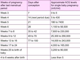 Hcg Dating Hcg Levels Everything You Need To Know About