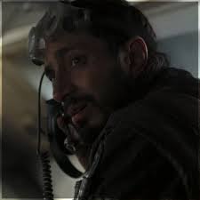 elva (forever in rogue one brainrot)'s Video