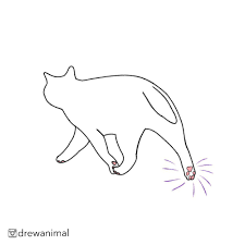 Draw Funny Animals On Instagram Give Me Five Cat Kitten Kitty Animal Fun Illustration Art Purr Interesting Design Funny Animals Cat Art Animals