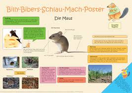 Billy Biber Schlau Mach Poster Die Maus Unterrichtsmaterial Im Fach Sachunterricht In 2020 Maus Poster Biber