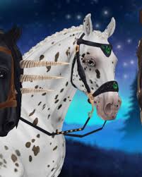 We did not find results for: Jorvikscher Friese Star Stable Wiki Fandom