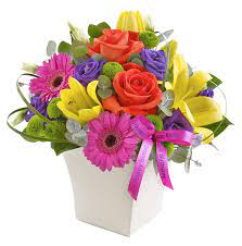1810 george dieter suite 105. El Paso Florist Best Flower Shop Northgate Florist