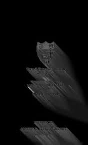 Image result for Schizochilus lepidus