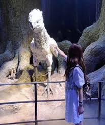 Harry potter received outstanding in defence against the dark arts, exceeds expectations in care of magical creatures, charms, herbology, potions and transfiguration, acceptable in astronomy, poor in divination, and dreadful in history of magic. Global Blackpink Theshow On Twitter Blackpink Jisoo Blackpink Harry Potter Studio Tour