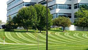 Maybe you would like to learn more about one of these? Contact Us Lawn Care Service Southlake Tx Lawn Mowing Commercial Landscaping Southlake