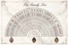 20x30 9 generation fan chart with a vintage map of mexico as