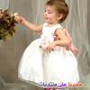 2021 سنة من قص ورق الثور الذهبي. Https Encrypted Tbn0 Gstatic Com Images Q Tbn And9gcqayvo2qvj4i9uykyom5bnw2 0xrx9f 7o8xruvsmknyt N6pnq Usqp Cau