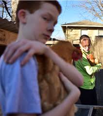 Photos: Newton man changes chicken ordinances