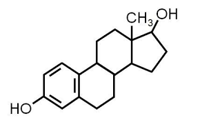 Image result for Estrogen