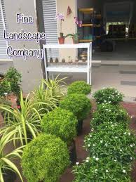 Pokok renek by ezza badrul 4838 views. Sarawak Edition Adakah Anda Memerlukan Tanaman Hiasan Facebook
